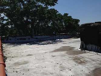 Rented by P Management