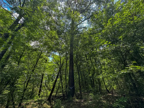 0 Oakley Rd, Vredenburgh, AL 36481