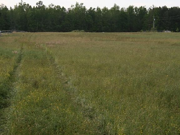5th image of 5 Acres Freeman Mill Road