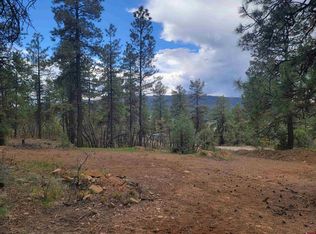 877 W View Rd, Pagosa Springs, CO 81147
