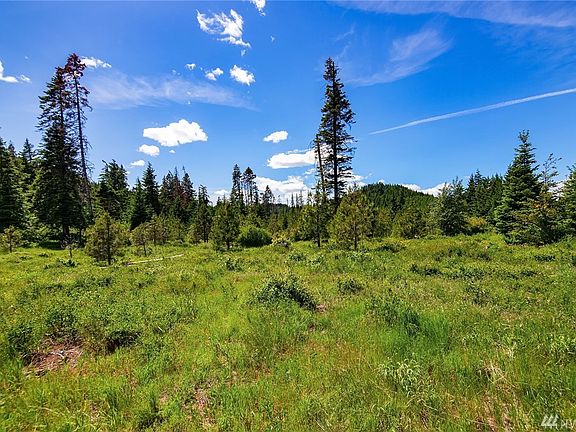 Easy Build on 1.4 acres