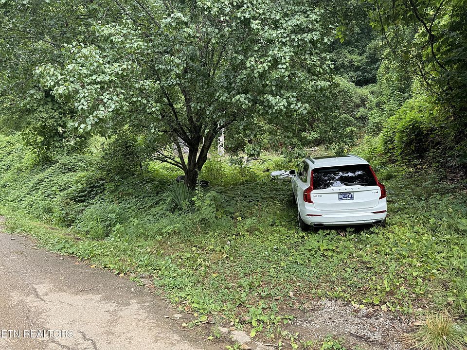 2nd image of 229 Martin Hollow Rd