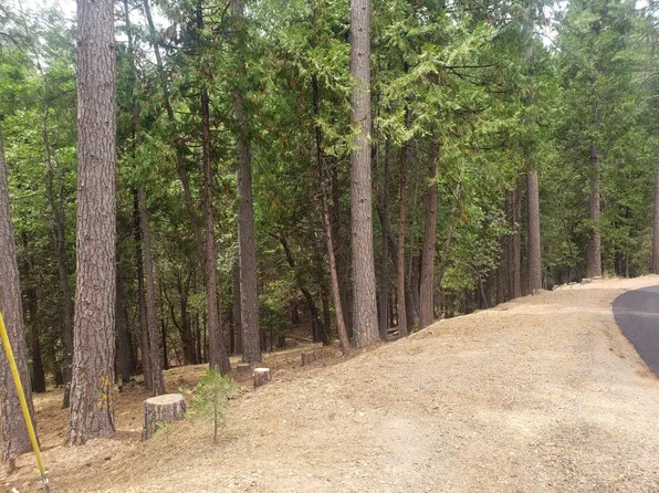 4760 Sierra Springs Dr, Pollock Pines, CA 95726