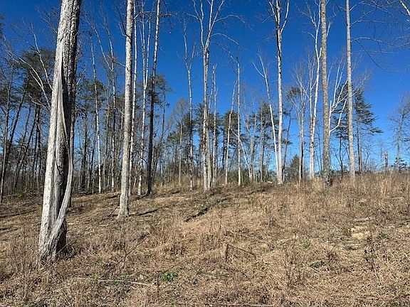 4th image of Na Vine Ridge Rd