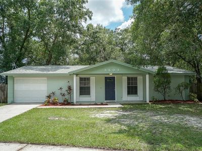 3603 Tamarix Dr, Tampa, FL, 33619