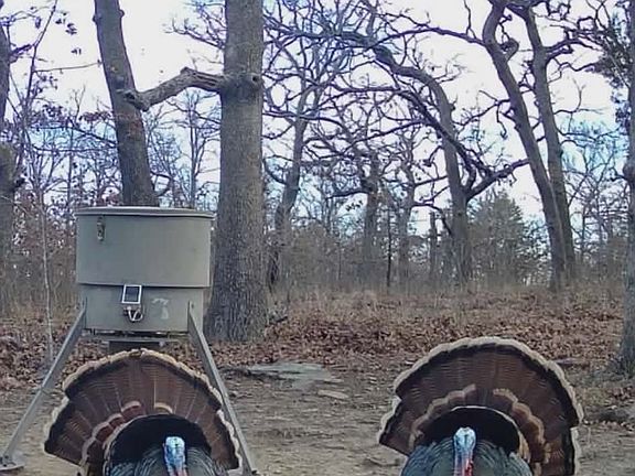 2nd image of W County Road 3647 Rd