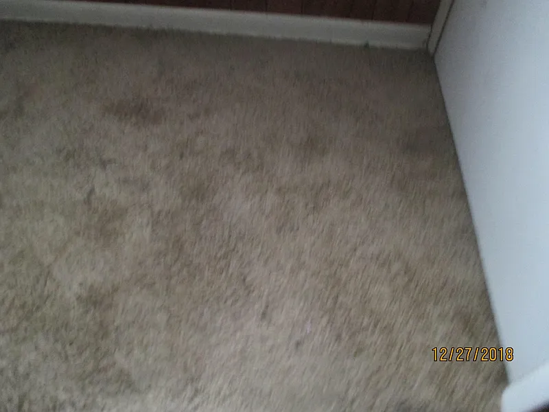 Thumbnail 20