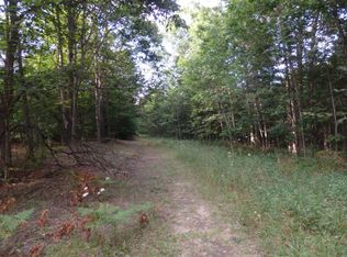 9147 Anderson Rd, Bear Lake, MI 49614