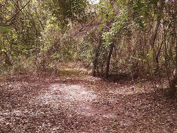 5th image of 2838 NW 23rd Blvd