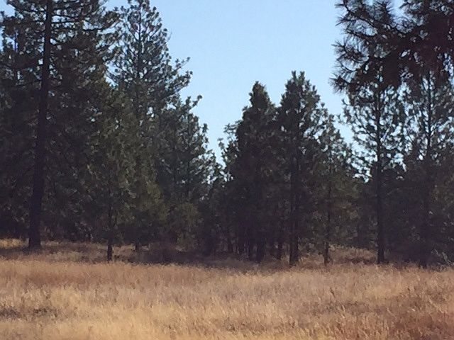 2nd image of 35823 S Rock Lake Rd