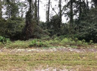505 Georgetown Dr, Georgetown, FL 32139