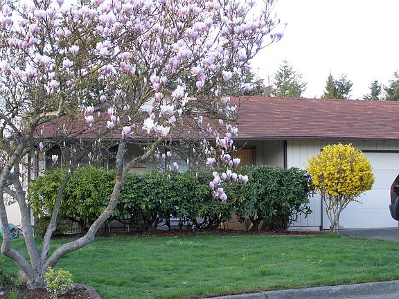 Beautiful landscaping, lots of privacy! 