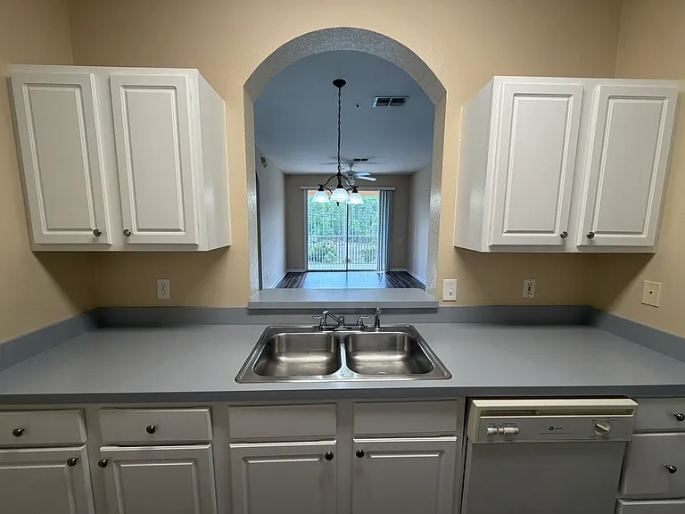 13560 Turtle Marsh Loop #332 — Photo 7