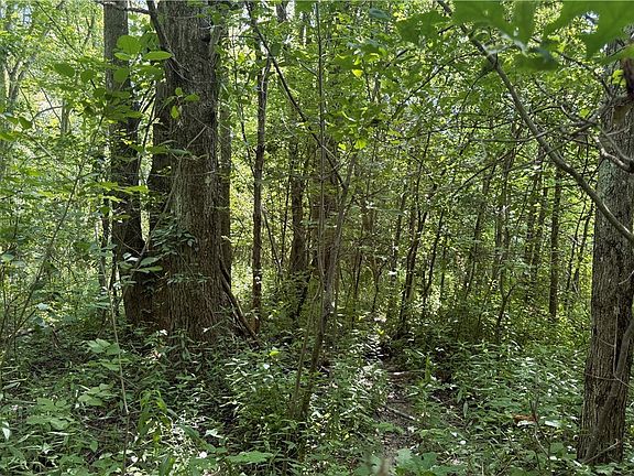 5th image of 3359 Helsey Fusselman Rd