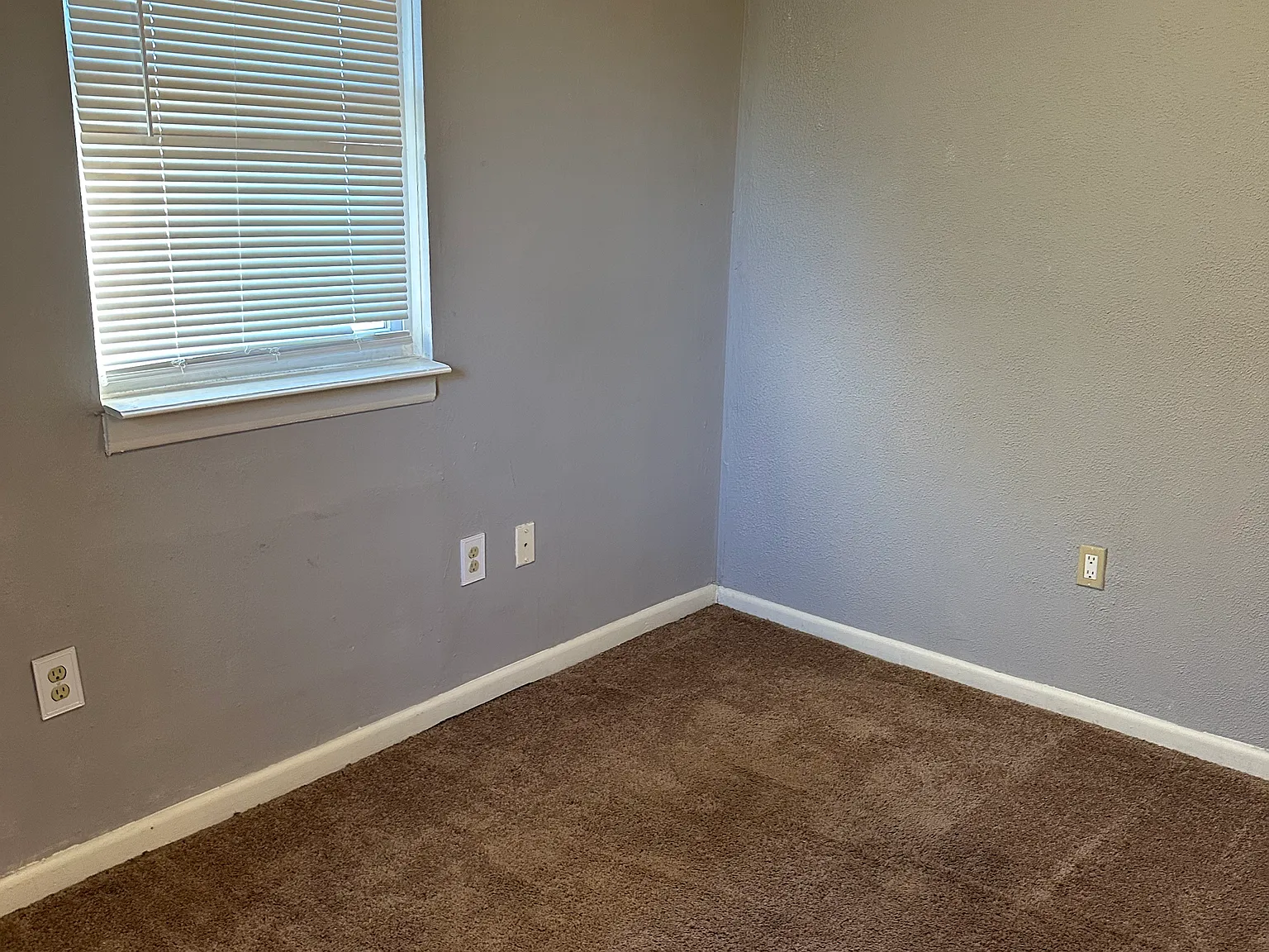 2 bed, 800 sqft, $1,300 — Photo 3