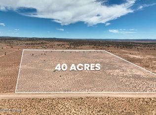 8263 E San Carlos Ln, Snowflake, AZ 85937