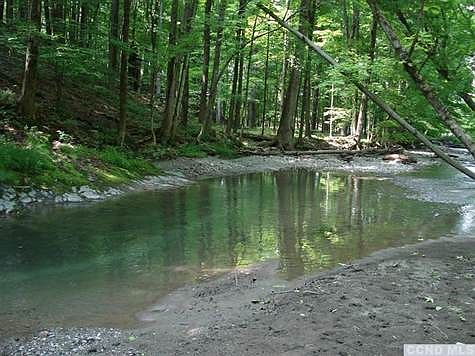 Your own private swimming hole!