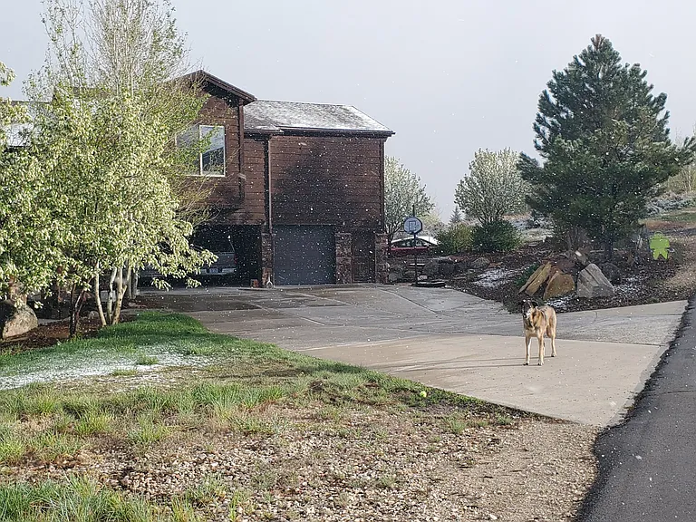 6169 Snowview Dr — Photo 47