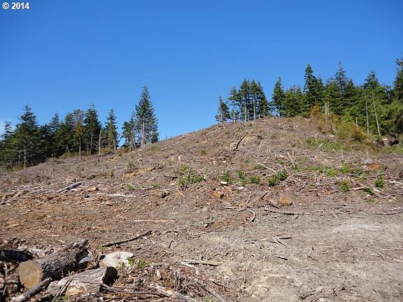 4th image of 87372 Lois Ln