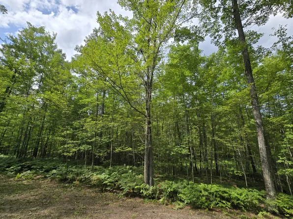 0 N Taylor Rd, Lincoln, MI 48742