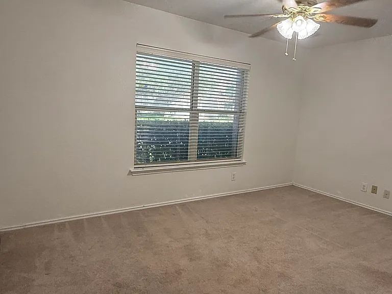 7254 Dwarf Palm — Photo 11