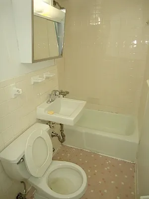 Rented by Village Living Realty | media 9