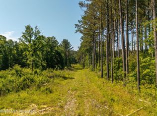 0 E Doc Clark Rd, Morton, MS 39117