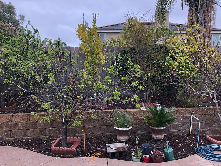 4365 Rosenstock Way — Photo 18