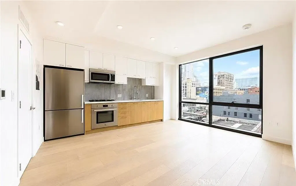 1 bed, 527 sqft, $2,250 — Photo 2