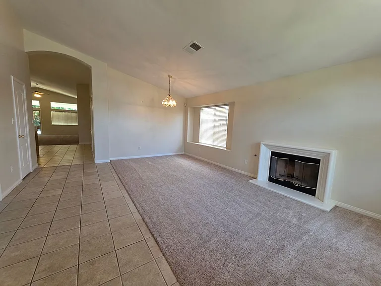 10104 Brookline Woods Dr — Photo 3