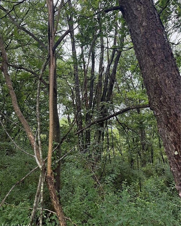 2nd image of Hillcrest Rd