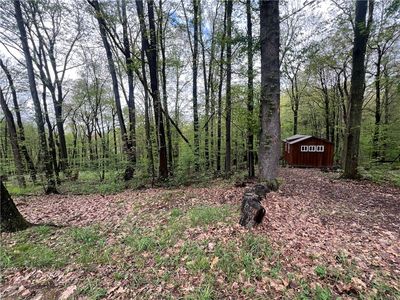 0 Squirrel Rd, Evans City, PA, 16033