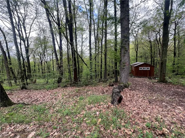 0 Squirrel Rd, Evans City, PA 16033