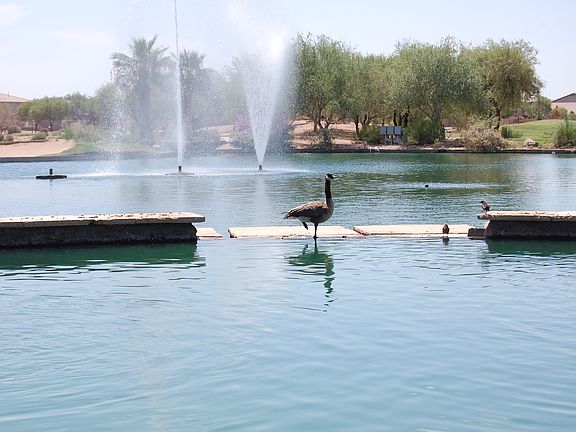 Rancho El Dorado Lakes