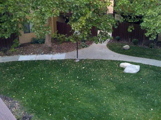 1000 Beck St #273 — Photo 5