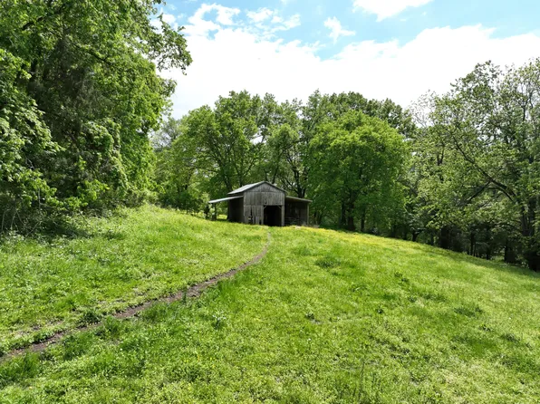 0 Baptist Branch Rd Lot 1, Mount Pleasant, TN 38474