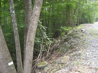 167 Raccoon Rd, Banner Elk, NC 28604