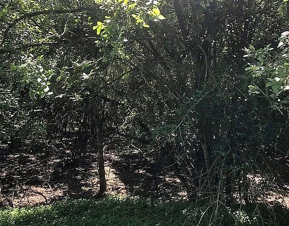 1st image of 6235 Balcombe