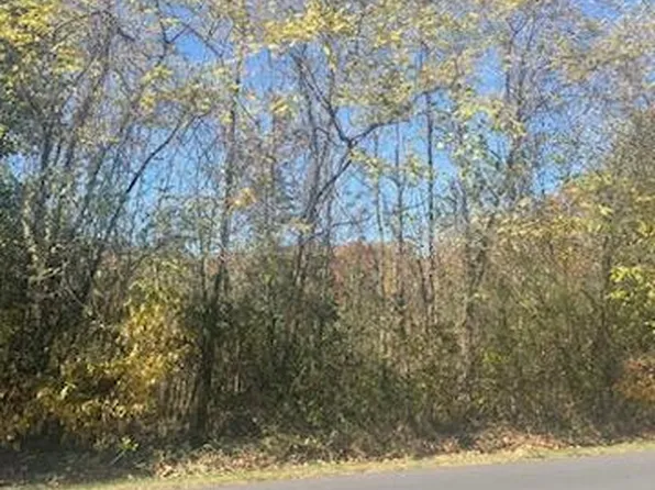 7 & 8 Patricia Dr, Covington, VA 24426