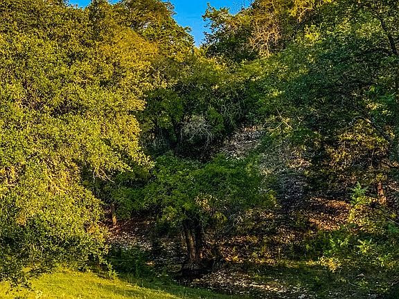 3rd image of LOT 12 Tonkawa Trl