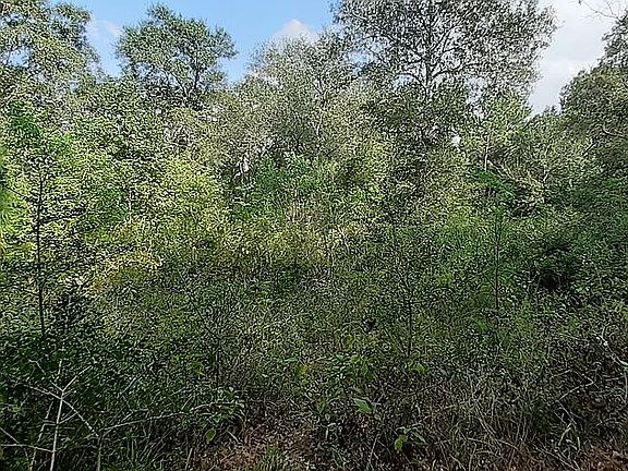 2nd image of 8292 Quarter Horse Ln