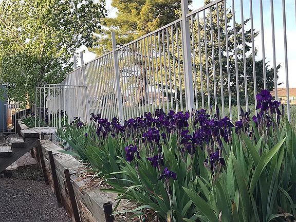 Backyard Access to Park