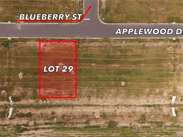 29 Applewood St, Weslaco, TX 78596