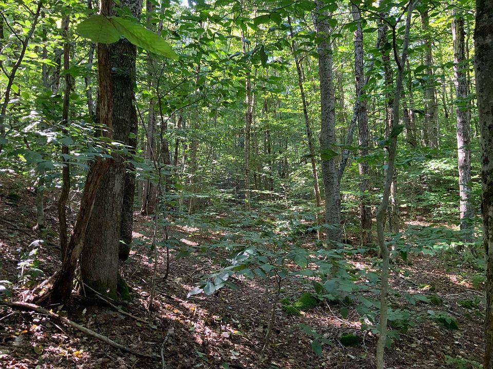 0 Florence Hill Rd, Camden, NY 13316 MLS 11109312 Zillow