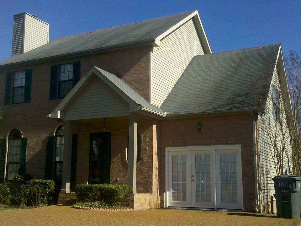 Front yard