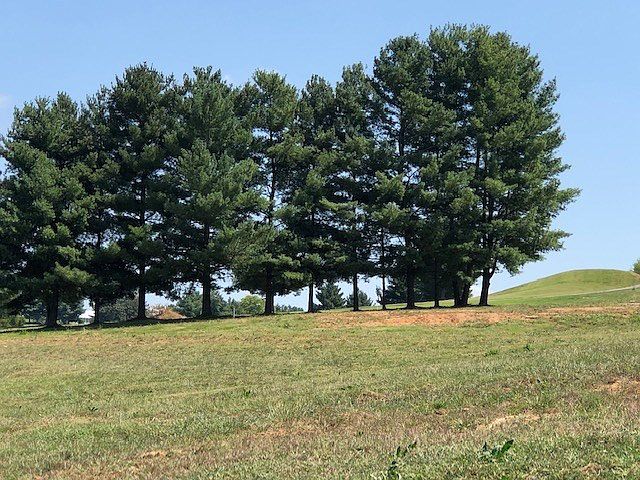 1st image of LOT 39 Fairway Dr