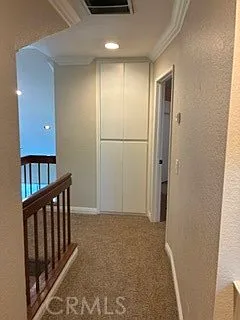 21 Dewberry — Photo 21