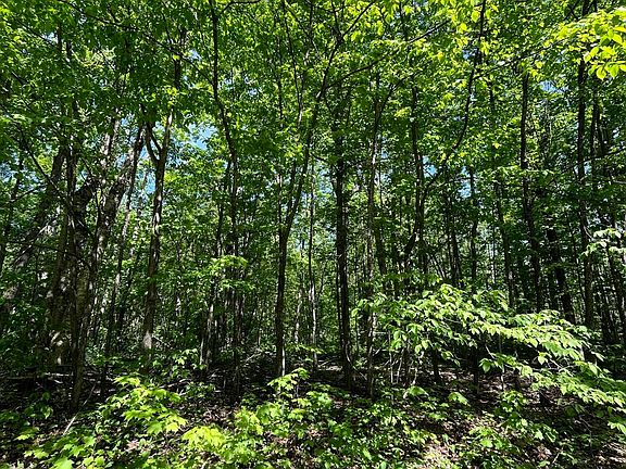 3rd image of LOT 232 Laming Cir