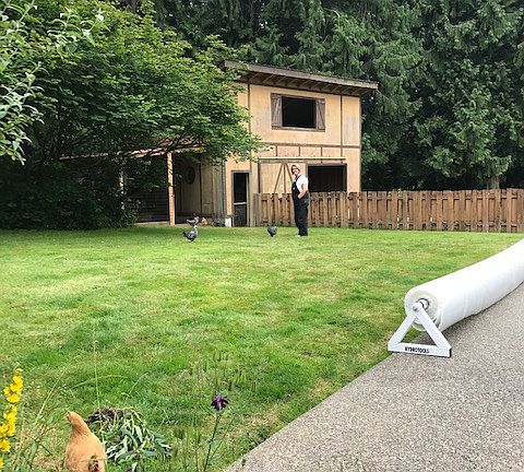 3rd image of 12024 74th Ave E