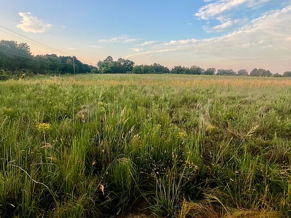 3rd image of 0 Mary Niblack Rd